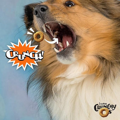 Fromm Crunchy Os Peanut Butter Jammers Dog Treats - Premium Crunchy Dog Treats - Peanut Butter Recipe - Pack of (3) 6 oz Bags