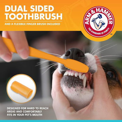 Arm & Hammer for Pets Fresh Breath Dog Dental Kit, Toothpaste, Toothbrush, and Finger Brush, Baking Soda Enhanced, Reduces Plaque and Tartar, Vanilla Ginger Flavor, 2.5 Oz - 72 Pack
