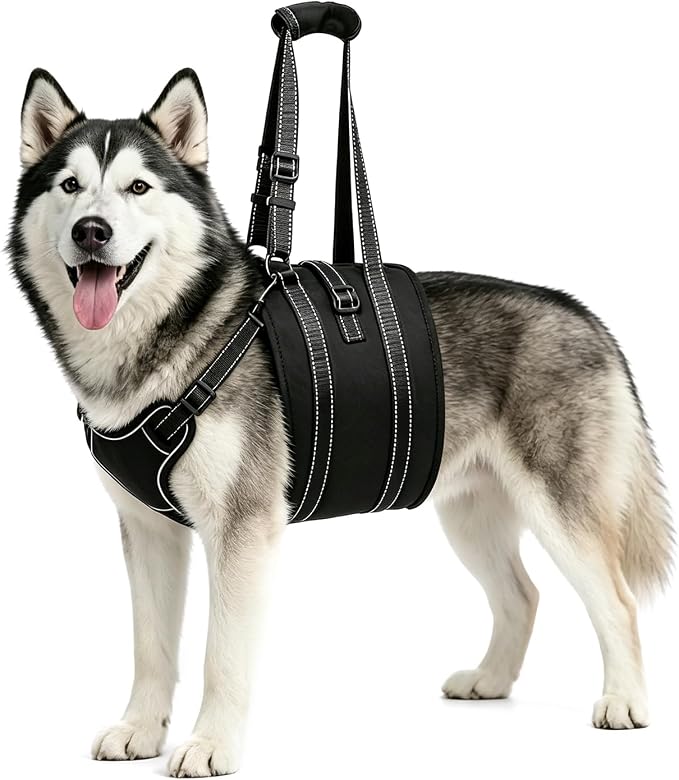 NOYAL Dog Lift Harness Sling - Adjustable Pet Carrier for Senior Dogs with Arthritis Joint Injuries, Emergency Support Rehabilitation Aid for Nail Trimming, Stairs Assistance
