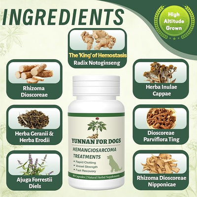 yu nan Capsules for Dogs – Natural Herbal Quick Stop Bleeding & Blood Support for Hemangiosarcoma, Hemoabdomen, Pericardial Effusion, Cancer Bleeding, Ulcers & Bloody Stools– 90 Capsules