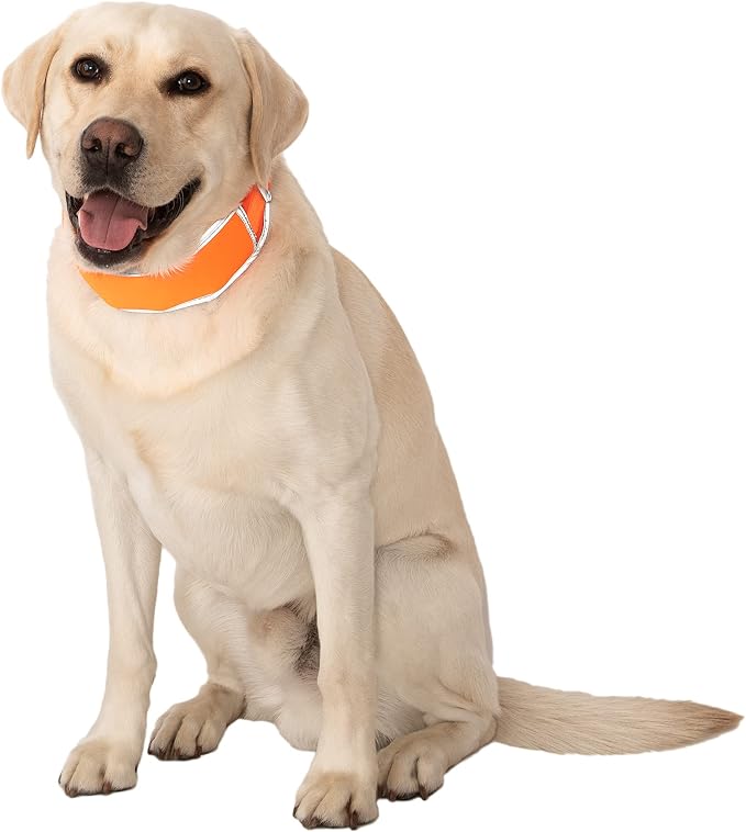 CoolerDog Hi-Vis Cooling Dog Collar for Large Dogs – Reflective Re-Freezable Ice Collar for Hot Weather & Heat Relief (Orange, Large)