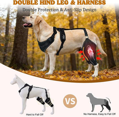 Dog Knee Braces for Back Leg, Adjustable Dog Leg Braces for Torn ACL Hind Leg with Metal Stabilizers, Better Recovery Knee Brace for Rear Leg Cruciate Ligament Injuries & Hip Dysplasia, M