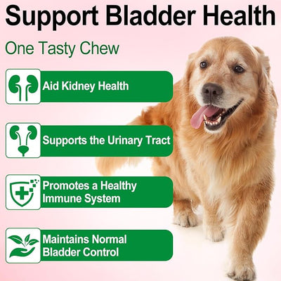 Urinary Tract for Dogs, Dog Urinary Tract Infection Treatment Drops Supports Bladder, Kidney Stone and Dog UTI, Pet Supplies Health Care, Bacon Flavor- 60ml / 2.02oz