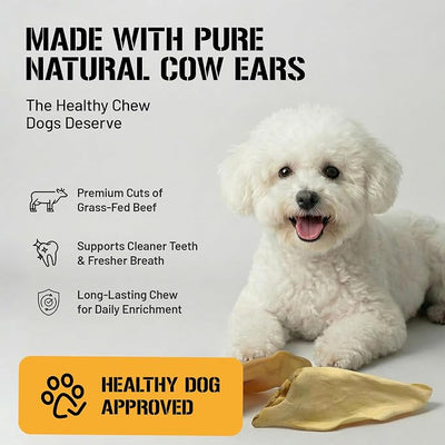 Dog Chits Cow Ears for Dogs – All Natural Cow Ear Dog Treats & Training Chews – High Protein, Low Fat – Thick Cut, Full-Sized – Dental Clean Crunch – Ideal for Medium & Large Dogs – Large, 10 Pk