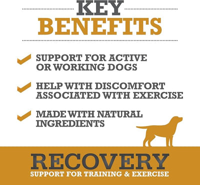 WINPRO Recovery Soft Chews for Dogs, Plasma-Powered to Support a Healthy Inflammatory Response, and Dog Training Support for Competition, Sport, and Agility Dogs, 60 Count