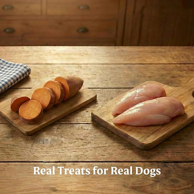 Bil-Jac Grain-Free Soft Treats for Dogs | Chicken & Sweet Potato Flavor | Made with Real Chicken Liver | 10 oz