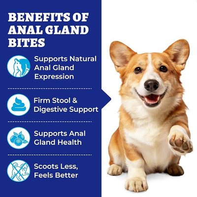 Wellix Anal Gland Chews for Dogs (19.04 oz), Dog Gland Supplement to Support Stool Quality, Dog Probiotics for Digestive & Gut Health - Rich in Pumpkin & Dietary Fiber - Chicken Flavor