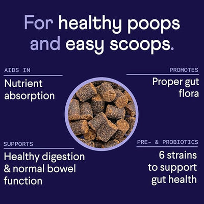 Finn Digestive Probiotics for Dogs | Pumpkin & Prebiotics | Beef | 90 Ct | 6 Live Probiotic Strains, 3 Billion CFU | NASC Certified | Vet Recommended | Supports Regularity & Immune Health