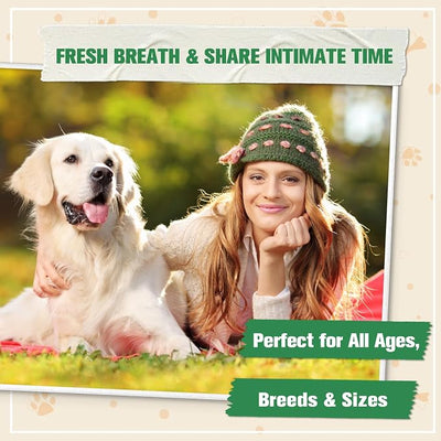 No Poop Eating Deterrent for Dogs, Stop Eating Poop for Dogs, No Poo Chews with Probiotics & Digestive Enzymes 150ct