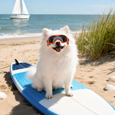 Enjoying Dog Sunglasses Extra-Small to Small Breeds, Dog Goggles UV Protection, Driving Eye Protection for Little Dogs, Breathable Windproof Dustproof Anti-Fog, Adjustable Straps, Style Orange