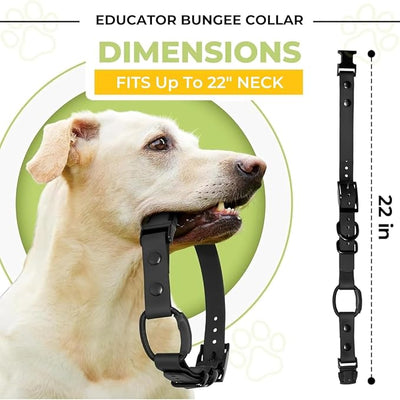 eCollar Replacement Strap Bungee Style - Waterproof Collar Compatible with Garmin, Dogtra, SportDOG, Educator (3/4", Pink)