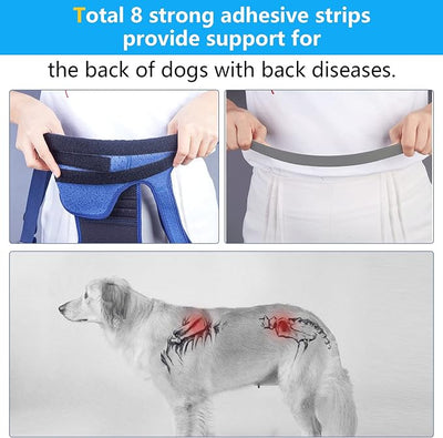 Coodeo Dog Back Brace for Dogs Arthritis, Pet Back Bracer for IVDD, Back Protector Helps Pain Relief, Surgical Recovery and Rehabilitation, Dogs Back Disease Prevention. (Pink,X-Large)