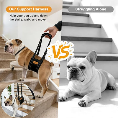 Vivifying Dog Lift Harness for Medium Dogs, Soft Flannel Hind Leg Support Sling, Adjustable Dog Lifting Harness for Weak Rear Legs, Senior Injured Disabled Dogs, ACL Surgery Mobility Assist, M, Gray