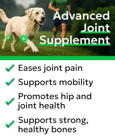 BARK&SPARK Glucosamine Chondroitin Dog Hip & Joint Supplement - Joint Pain Relief - Hip & Joint Chews - Joint Support Large Small Breed - Senior Doggie Vitamin Pill Joint Health