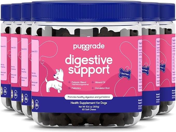 PupGrade Digestive Support for Dogs - Prebiotic + Probiotic Supplement with Enzyme Blend - Gut and Immune Support - Pumpkin, Blueberry, Mineral Oil, Duck Flavor - 360 Soft Chews