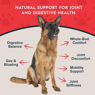 Animal Essentials Yucca - Hip and Joint Yucca Root Supplement for Dogs & Cats, Liquid Herbal Care Drops for Senior Dogs & Older Pets, Bowel & Immune Support, Antioxidant Boost - 1 fl oz