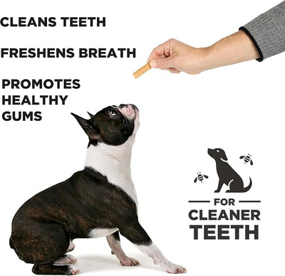 Hive Chew Sticks - Dental Treats for Dogs - Vegetarian, Made with Ground Peanuts & Honey, No Grain or Soy, Cleans Teeth & Freshens Breath (2-Pack 7 oz, Hive Chew Sticks for Small Dogs)
