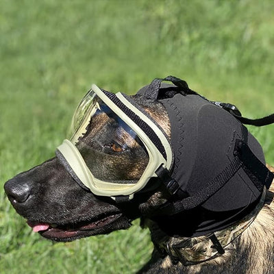 Rex Specs Ear Pro | Noise Cancelling Ear Wraps for Dogs | Dog Ear Muffs Noise Protection (02, Black)