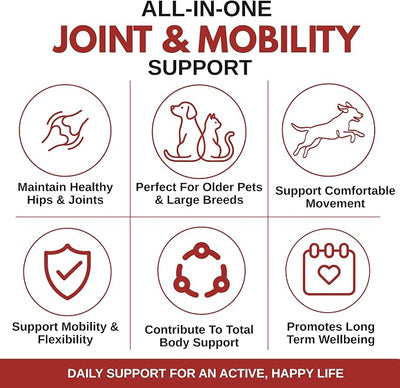 Wholistic Pet Organics - Hip and Joint Supplement for Dogs & Cats - Cat and Dog Joint Supplement - Green Lipped Mussels, Chondroitin, Glucosamine for Dogs & Cat Mobility Support - 4 Lb - 181 Scoops
