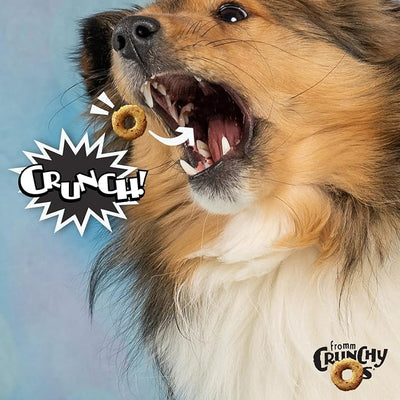 Fromm Crunchy Os Bacon Blasters Flavor Dog Treats - Premium Crunchy Dog Treats - Bacon Recipe - Pack of (3) 6 oz Bags