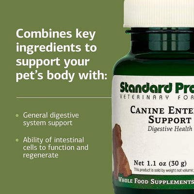Standard Process Inc. Canine Enteric Support - Digestive System Support for Dogs - Nutritional Dog Supplement for Gut Health - Canine Supplement Formula to Aid Healthy Digestion - 30 g