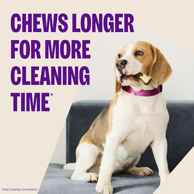 Whimzees Wellness Brushzees Dog Dental Treat, VOHC Accepted Chews, Freshens Breath, Small Size, 4.2 oz Bag, 8 Count (Pack of 2)