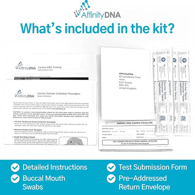 Dog Exercise Induced Collapse (EIC) DNA Test | Home Sample Collection Kit for 1 Canine | EIC Testing for Your Puppy | Results in 7 Working Days | A Complete Kit with No Extra Fees