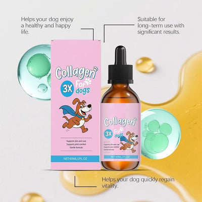 Bloom Collagen for Dogs, Bloom Triple Collagen for Dogs, Gentle Formula, Supports Skin and Coat, Joint Comfort, 60ml (1pc)