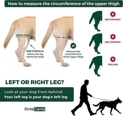Ortocanis Dog Knee Brace for Hind Leg Support – Flexible Neoprene Knee Brace for Dogs with Joint Instability, Torn ACL, Limping or Osteoarthritis – Comfortable Support for Recovery (XS, Left Leg)