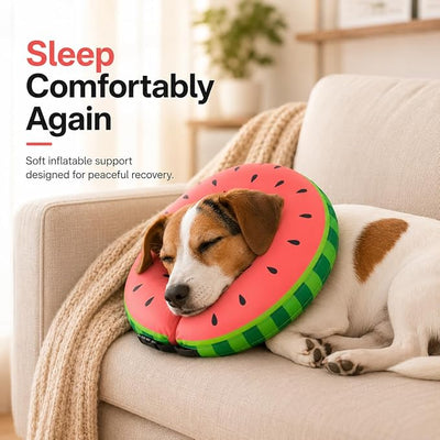 MIDOG Soft Inflatable Dog Cone, Donut E-Collar Alternative for After Surgery, Prevents Licking, Allowing Normal Eating & Vision, Comfortable Recovery Collar for Small Medium Large Dogs & Cats, Red-L