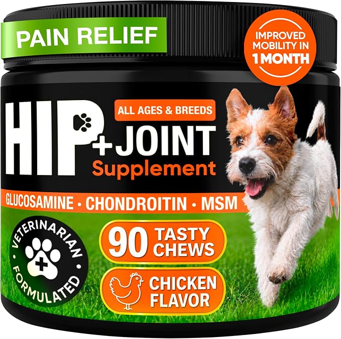 Glucosamine for Dogs – Hip and Joint Supplement Chews for Small, Medium & Large Dogs – Joint Pain & Mobility Support – Soft Chews for Pain and Inflammation Relief, 90 Chews