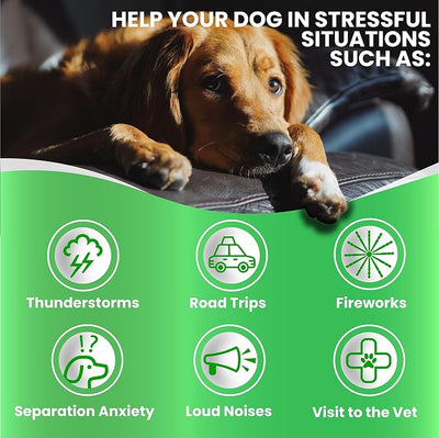 Grateful Pawz Hemp Calming Chews for Dogs - Dog Calming Chews - 170 Anxiety Relief Treats with Hemp Oil - Sleep Aid - Advanced Health Joint Support Supplement - Health & Wellness