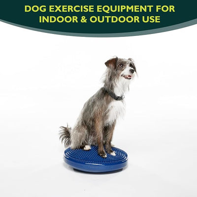 FitPAWS® Dog Balance Disc – 14”, Blue | Dog Exercise Equipment | Workout Tool for Strength, Core, Stability & Rehabilitation