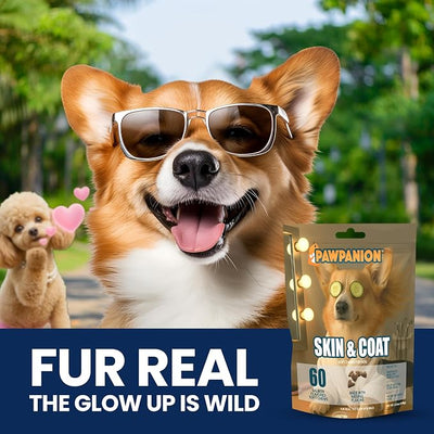Skin & Coat Soft Chews for Dogs Anti Shedding Formula 60 Count