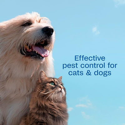 ADAMS Plus Flea and Tick Spray for Dogs & Cats, Kills Fleas and Ticks, Repels Mosquitoes, Prevents Infestations up to 2 Months, Treatment for Dogs, Cats, Puppies & Kittens, 32 Fl Oz