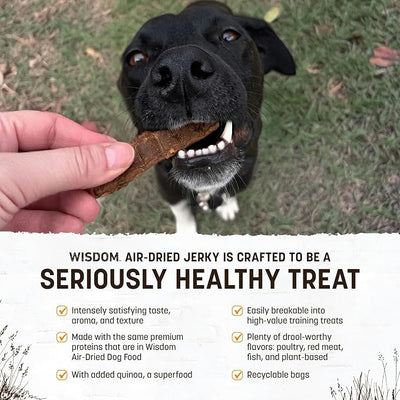Earth Animal Wisdom Air Dried Jerky - Chicken Recipe Premium Natural Jerky Strips Dog Treats - 4 oz Bag