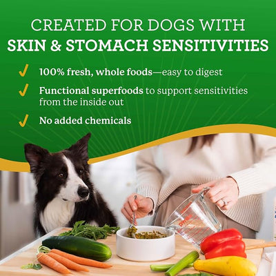 Dr. Harvey's Veg-to-Bowl Dog Food, Human Grade Dehydrated Base Mix for Dogs, Grain Free Holistic Mix, Trial Size (6.5 Oz)