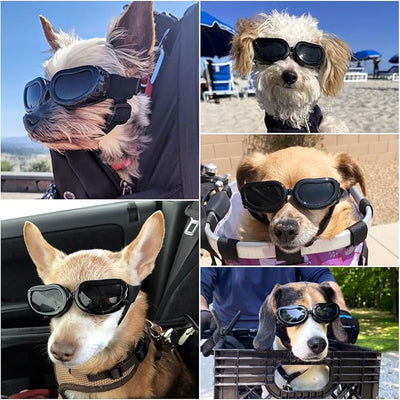 Enjoying Dog Goggles Small Breed, Dog Sunglasses UV Protection, Cycling Eye Protection for Small Dogs, Breathable Windproof Dustproof Anti-Fog, Adjustable Straps, Classic Black