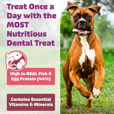 Yummy Combs Dog Dental Treats – Fish & Egg Protein – Vet VOHC Approved, Removes Tartar – A Daily Teeth Cleaning Treat for Small Dogs (30 Count)
