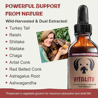 MycoDog Vitality - 20-in-1 Turkey Tail Mushroom for Dogs - Mushroom & Adaptogen Supplement for Senior Dogs - Supporting Immune Health & Daily Wellness - with Reishi, Chaga