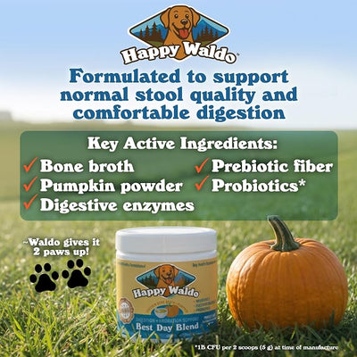 Bone Broth Dog Food Topper – Firm Stool Support, Digestion & Gut Health, Picky Eater Friendly with Pumpkin, Probiotics & Digestive Enzymes
