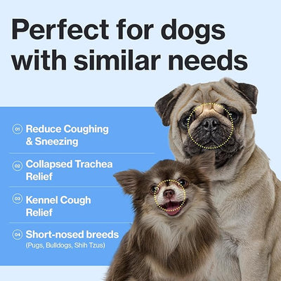 Doctor By Breath Bronchial Supplements for Dogs - Dog Cough Relief - for Dry, Wet & Barkly Pet Cough (8.5 Ounce (Pack of 1))