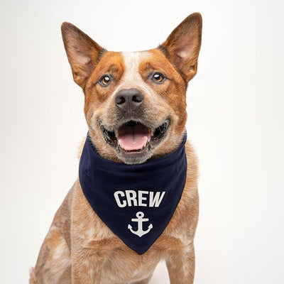 Crew with Anchor Dog Bandana | 100% Cotton | Made in USA | Boat & Fishing | Captain | Beach & Lake | Summer | Outdoors | Father's Day |Orange, One Size (265)