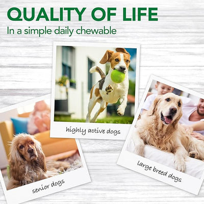 Vet’s Best Hip & Joint Supplement for Dogs, Glucosamine, MSM & Bromelain Joint Support for Mobility & Comfort, Dog Arthritis & Inflammation Support Chewable Tablets, Vet Formulated, 50 Count