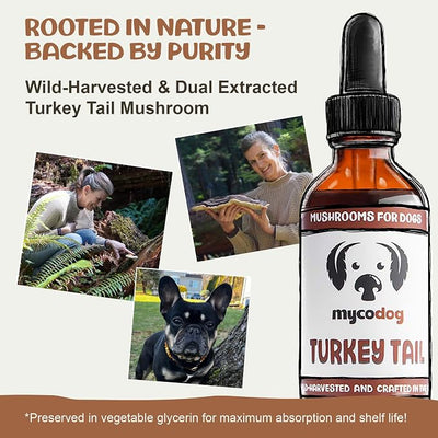 MycoDog Turkey Tail Mushroom for Dogs - Immune & Gut Health Support - Turkey Tail Supplement for Dogs - Daily Wellness Drops