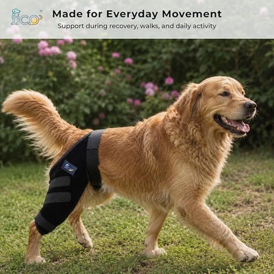 Dog Knee Brace for Hind Leg Support - Right Leg, CCL ACL Brace for Dogs, Vet Approved, Adjustable Orthopedic Support for Arthritis, Ligament Injuries & Post-TPLO Surgery Recovery (Large)