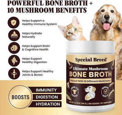 Beef Bone Broth for Dogs - High Protein Powder with Ten Organic Mushrooms & Collagen - Immune, Joint, Digestion & Cognitive Support - Tasty Dog Food Topper - Natural Hydration Booster