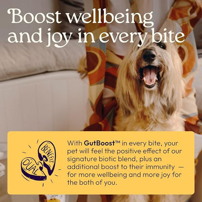New! WellJoy Dog Supplement Immune+ GutBoost | Dog Health Supplement | Enhances Immune Response | Dual-Benefit GutBoost Formulation | Vet Formulated | Made in USA | Chicken Flavor | 90 Soft Chews