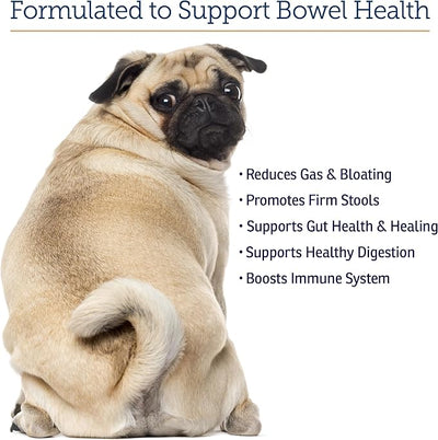 Rx Vitamins NutriGest - Dog Probiotics for Digestive Health - Probiotic for Cats - Cat Digestive Support,Anti Diarrhea for Cats and Dog Gas Relief - Probiotics for Dogs Powder - 4.65oz