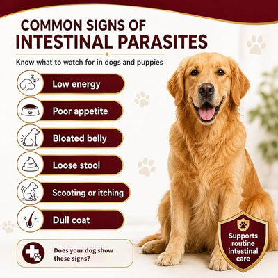 Dog Dewormer for Dogs & Puppies, Fenbendazole All Wormers Tablets for Tapeworms, Roundworms, Hookworms & Whipworms, 48 Count